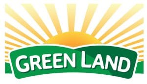 WhatsApp Image 2024-10-13 at 14.54.47